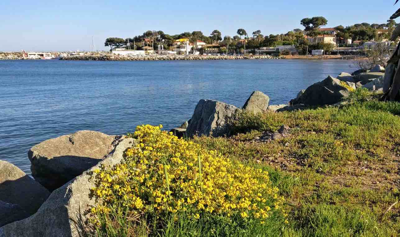Code postal Saint Aygulf : infos pratiques et tourisme code postal Saint Aygulf