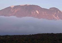 Kili Tanzania : comment préparer son trek jusqu’à Uhuru Peak ? Kili Tanzania