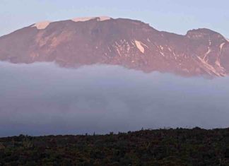 Kili Tanzania : comment préparer son trek jusqu’à Uhuru Peak ? Kili Tanzania