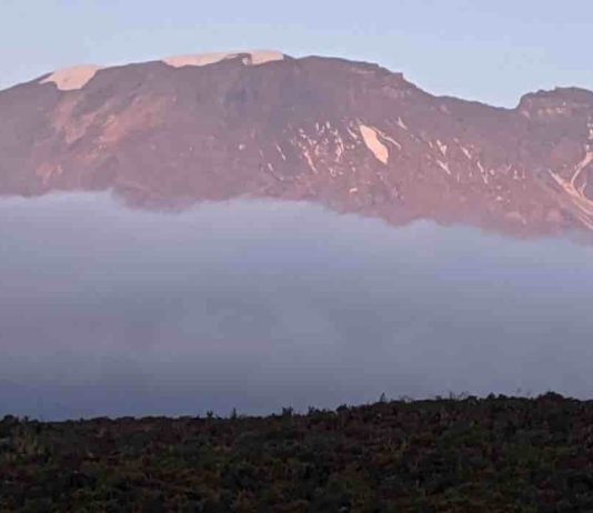 Kili Tanzania : comment préparer son trek jusqu’à Uhuru Peak ? Kili Tanzania