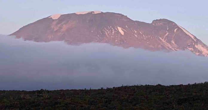 Kili Tanzania Kili Tanzania