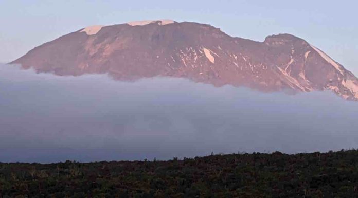 Kili Tanzania : comment préparer son trek jusqu’à Uhuru Peak ? Kili Tanzania