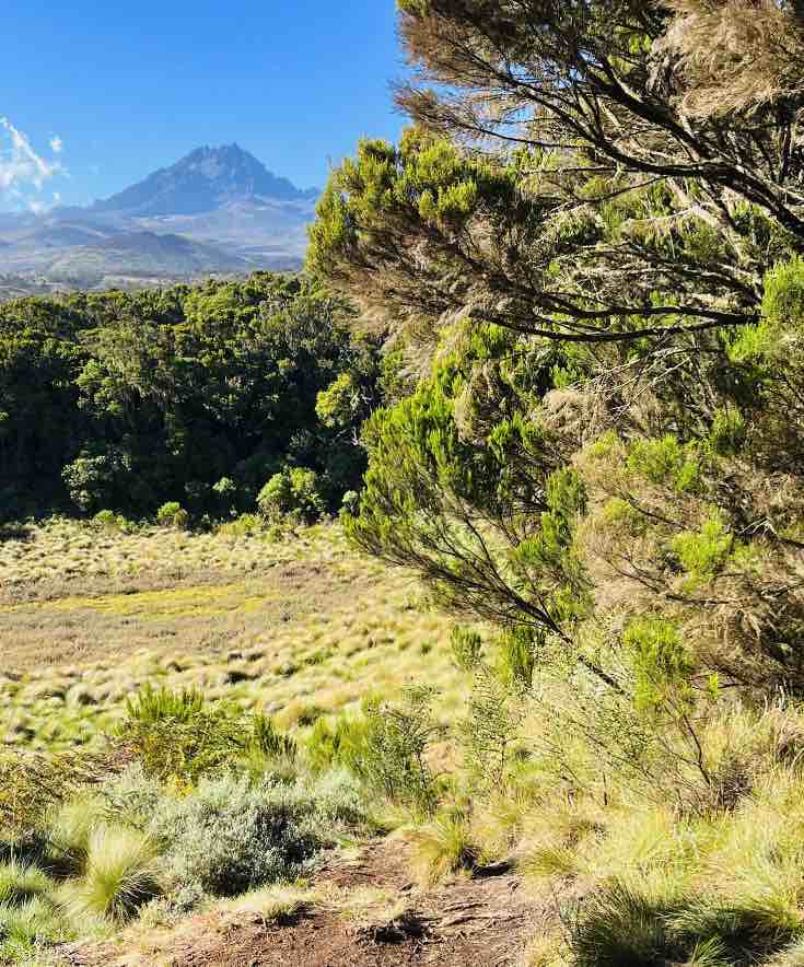 Kili Tanzania