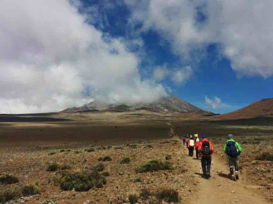 trek Kili Tanzania